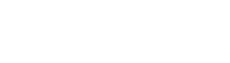 Brunsia Logo